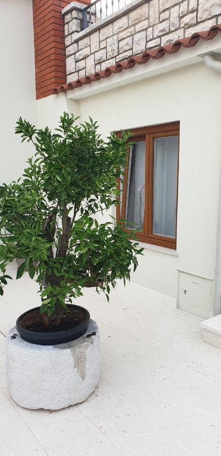 Ferienwohnung Haus Silvia Rovinj Exterior foto